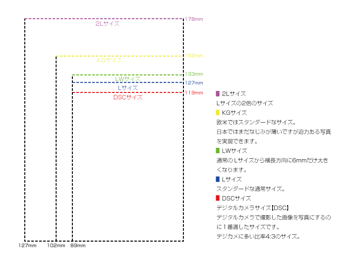サイズ比較表