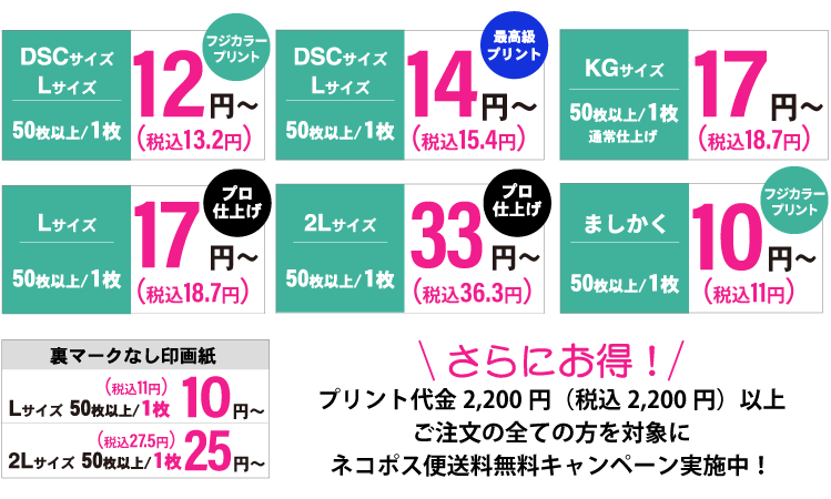 フジカラー純正印画紙デジカメプリントの料金表